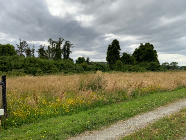 parcela en Frutillar