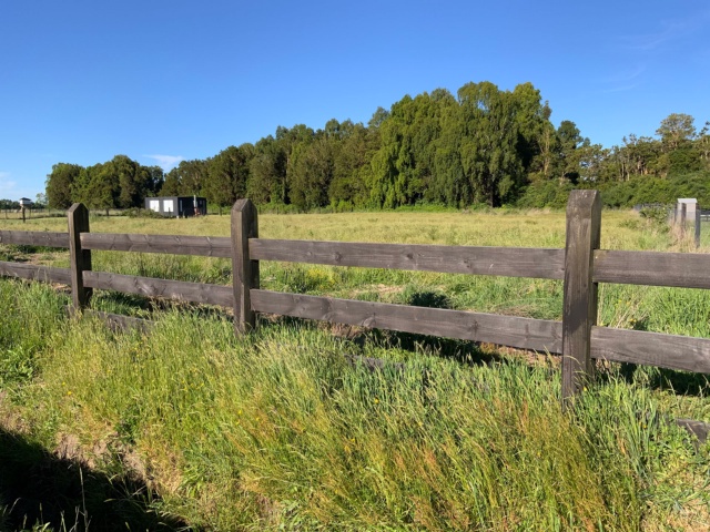Oportunidad de compra! Hermosa parcela en venta en Frutillar