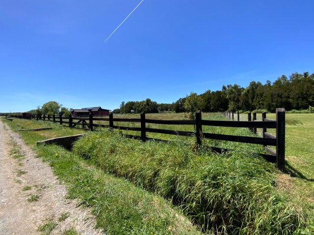 Se Vende Linda Parcela con Vista a Bosque en Frutillar
